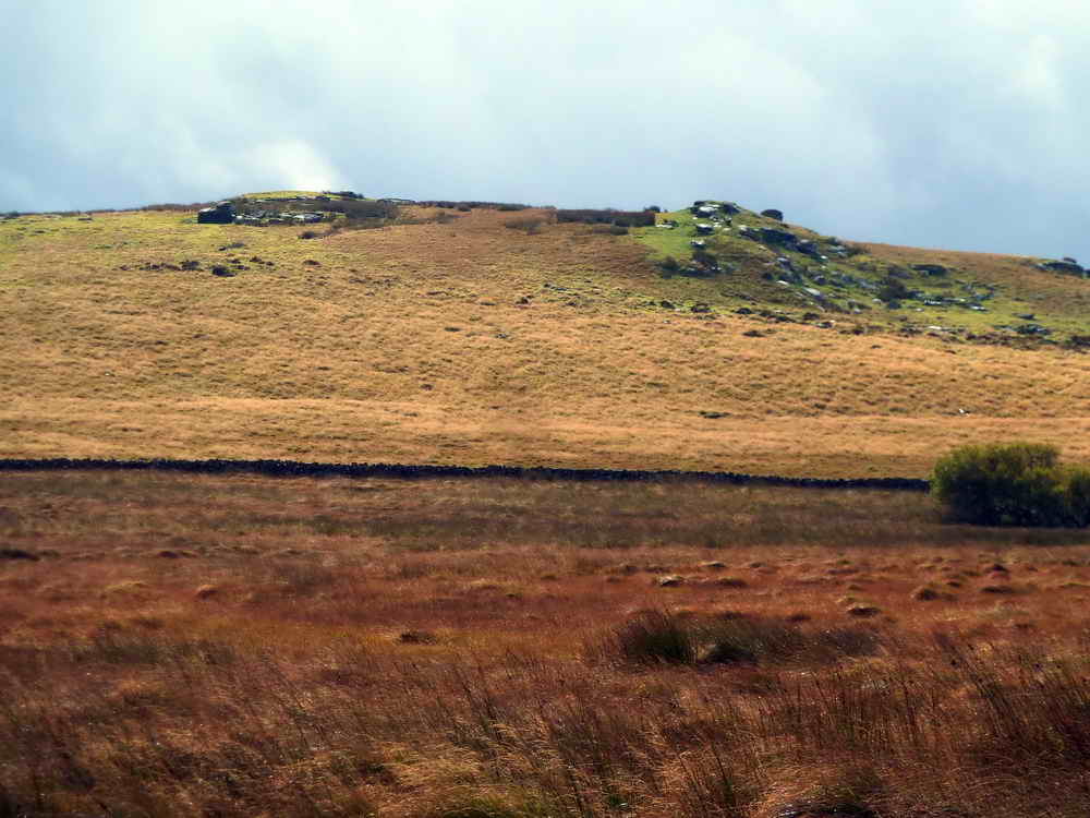 Looking South at Thornworthy Tor at SX 664 851. Elevation 424 metres (1391 feet)