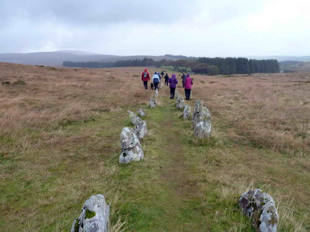 The second double stone row, leading back towards Batworthy Corner