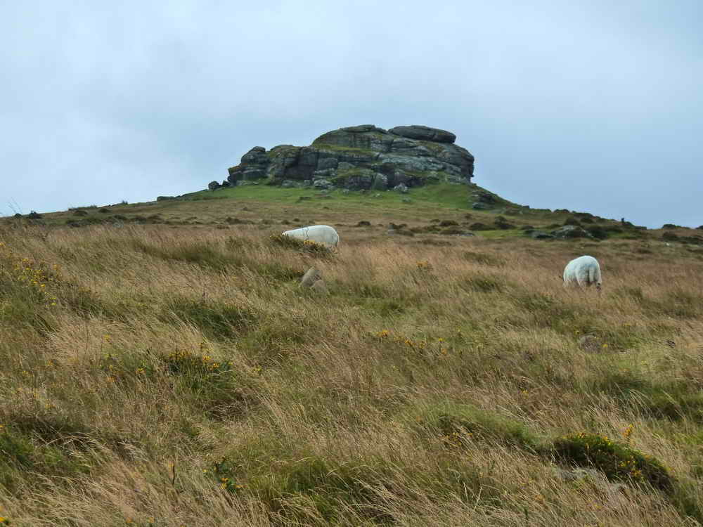 Zoomed view to Kes Tor, SX 665 862, elevation 445 metres (1460 feet)