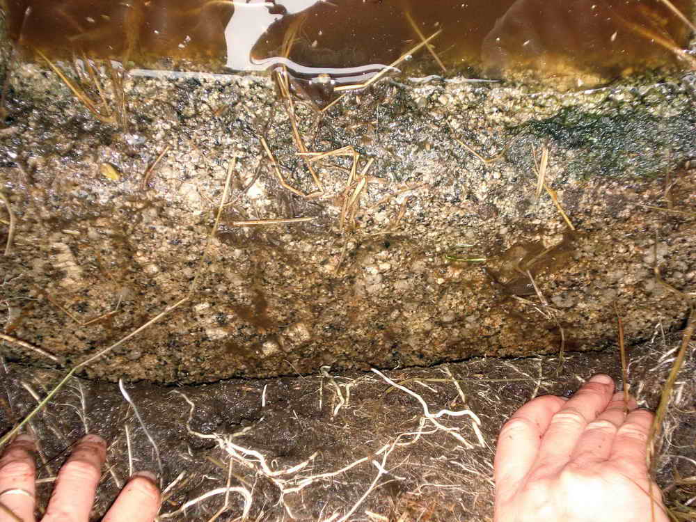 Possible ‘M’ or other engraving