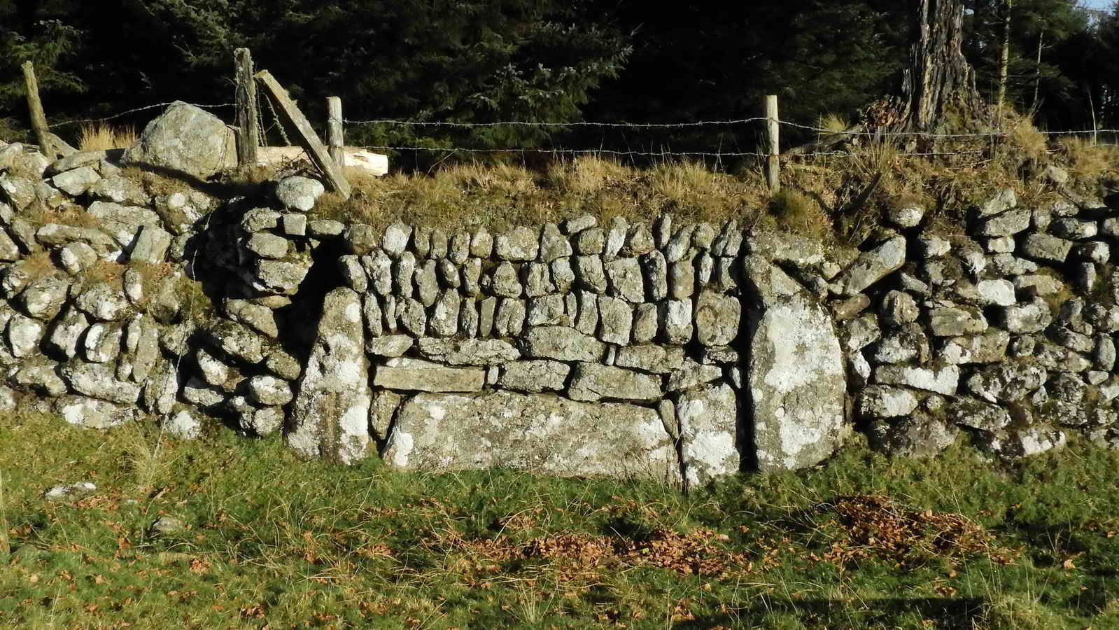 Keeping left, walking up the slope near the wall, a blocked up gateway at SX 57184 68593