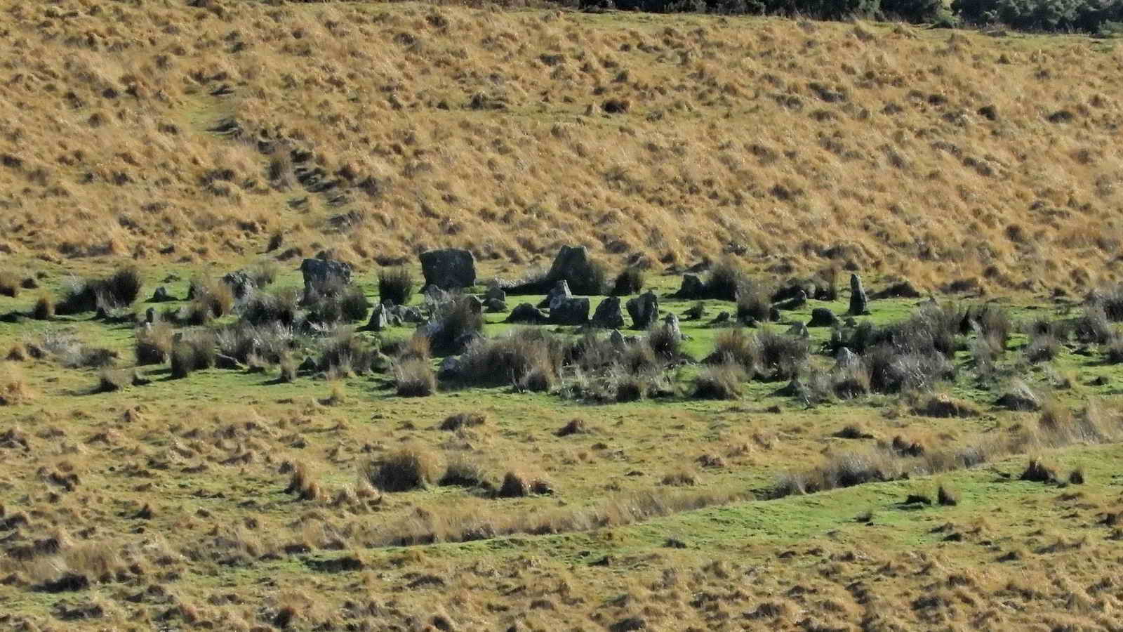 Zoomed view to the multiple stone circle on Yellowmead Down
