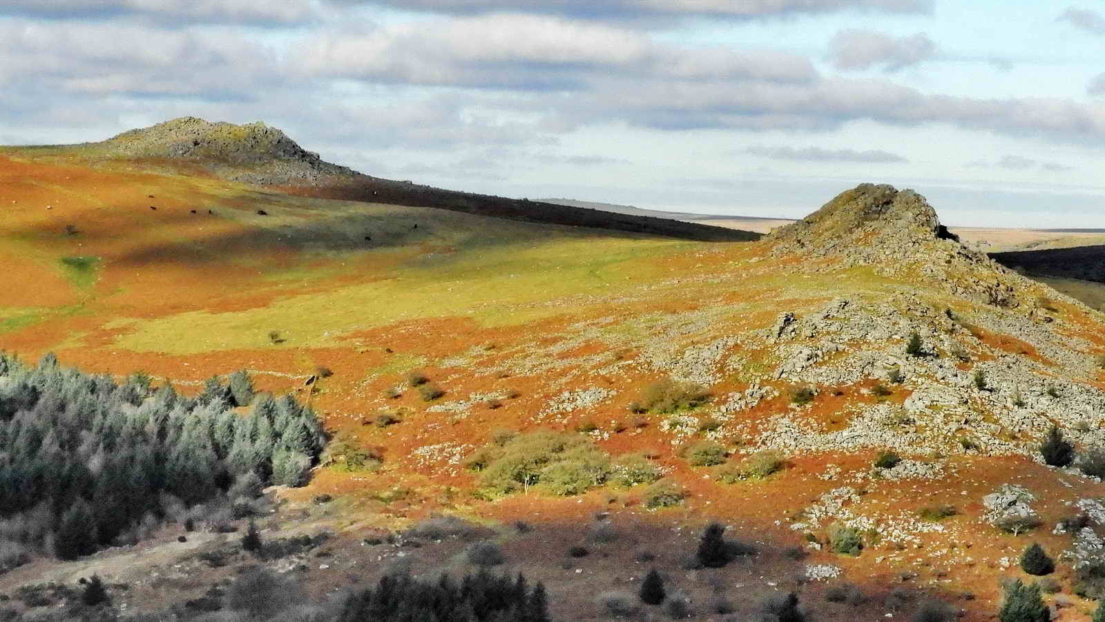 A view of Sharpitor and Leather Tor