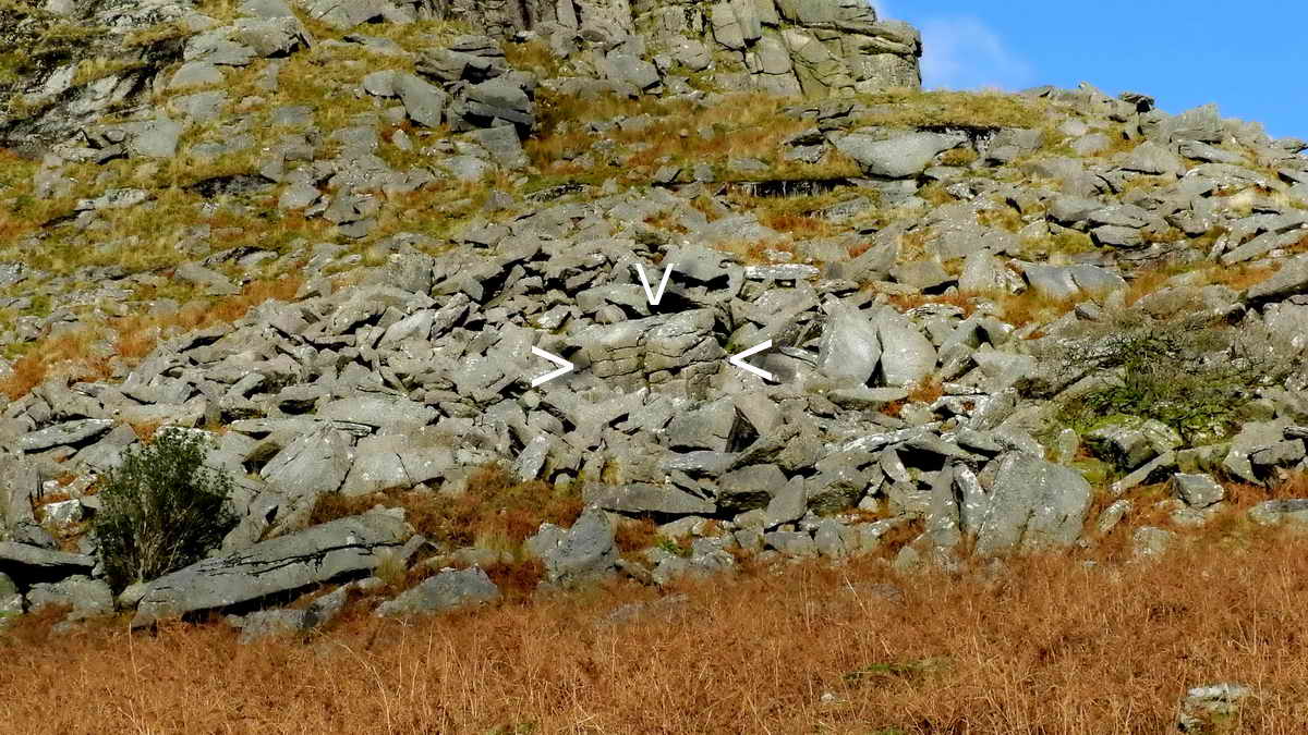 Pixies House, highlighted