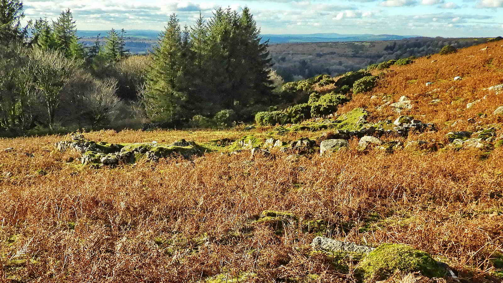 Sheepstor Warren House, SX 56447 68035, very ruined