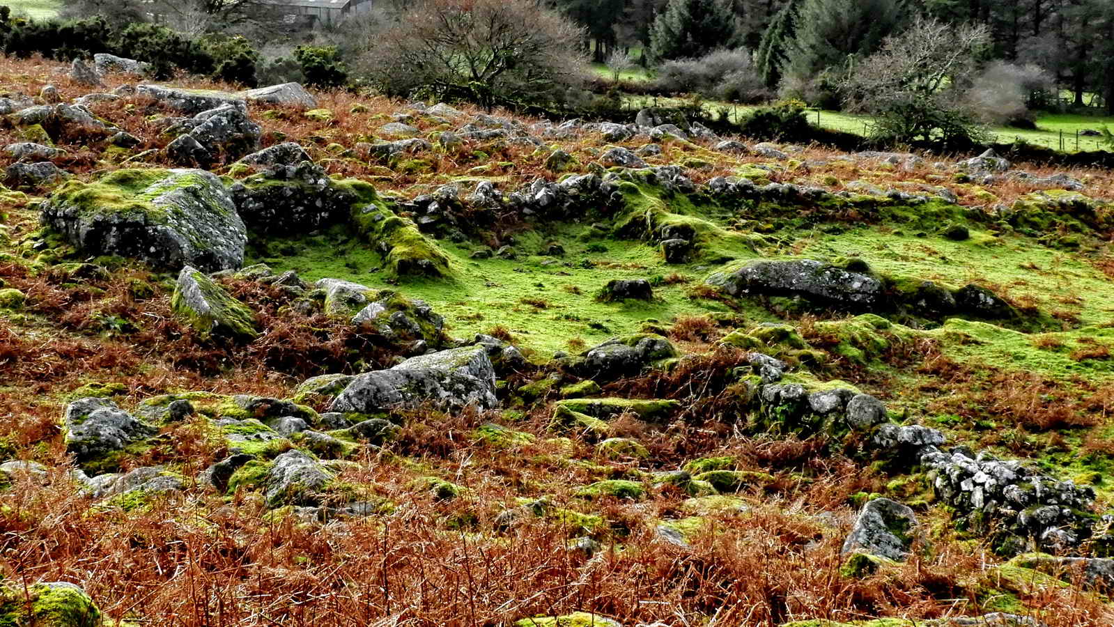 Another view of the foundations of the Warreners House