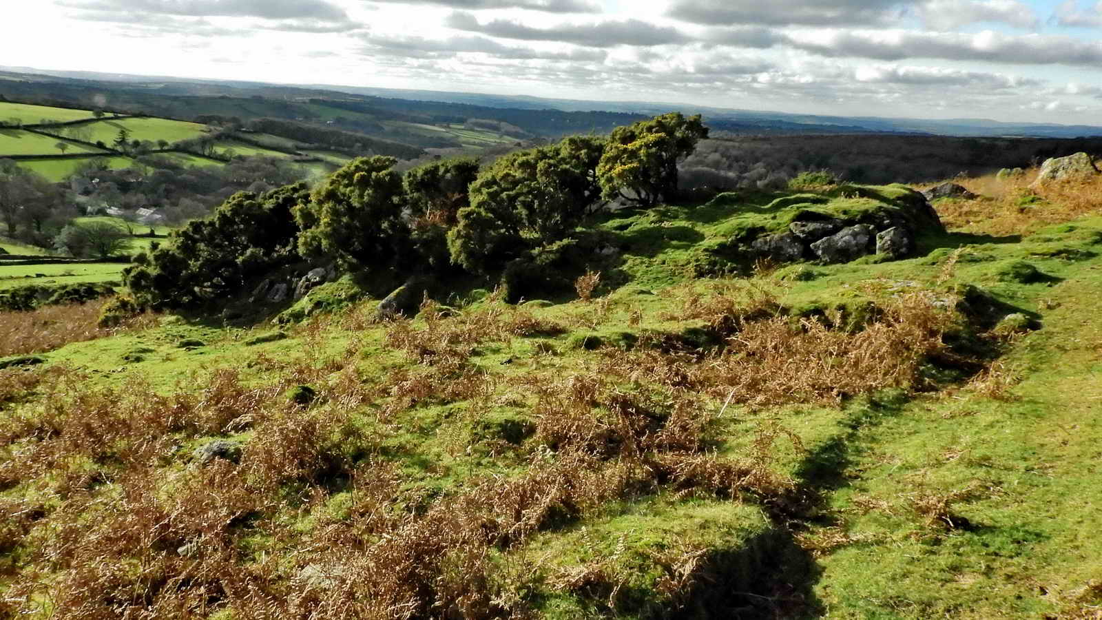 Another bury, partly covered by gorse