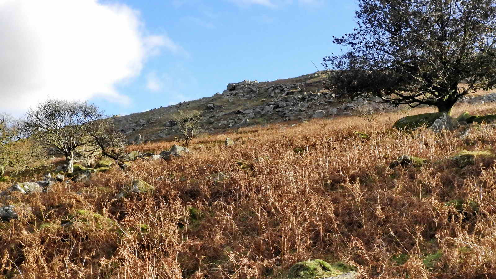 Narrator (or Narrow Tor), overlooking the site of the ruined Narrator farm