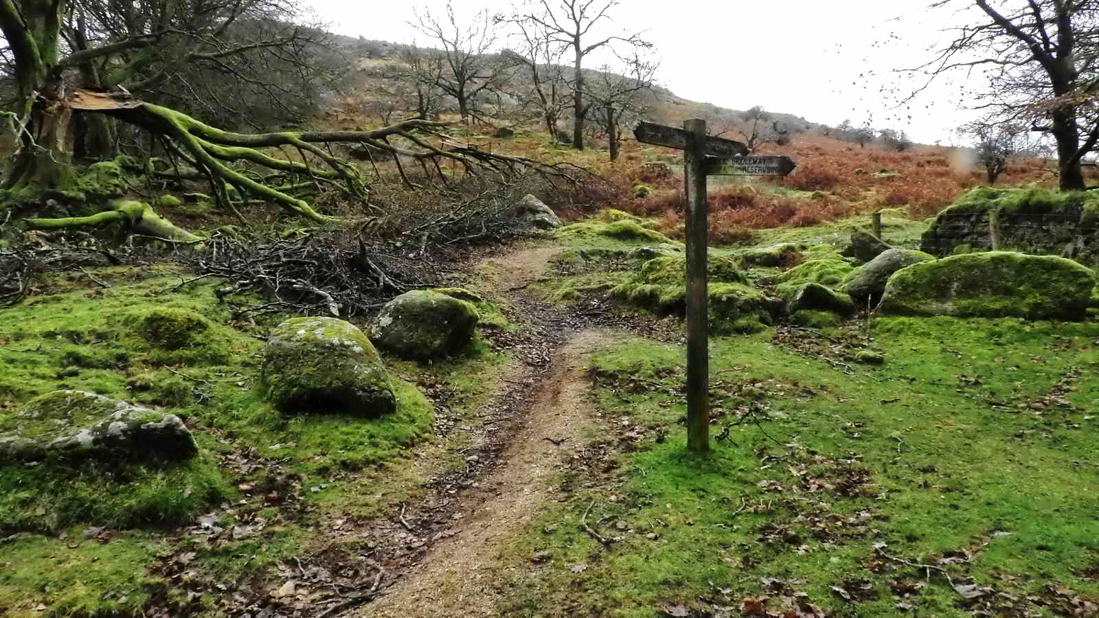 The upside-down trough. SX 56718 68742