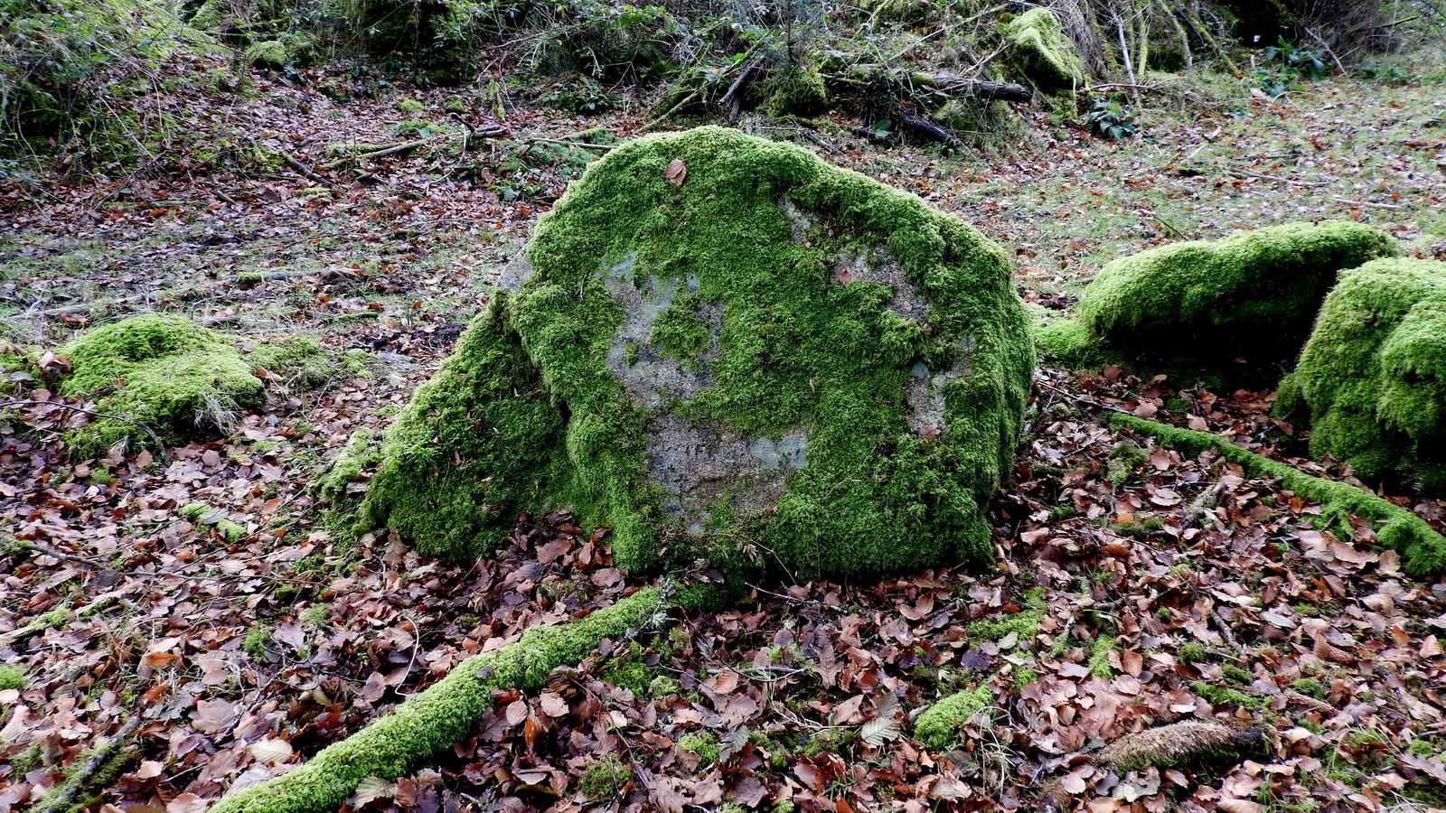 The WIFF stone. Note the clear area low down, to the left