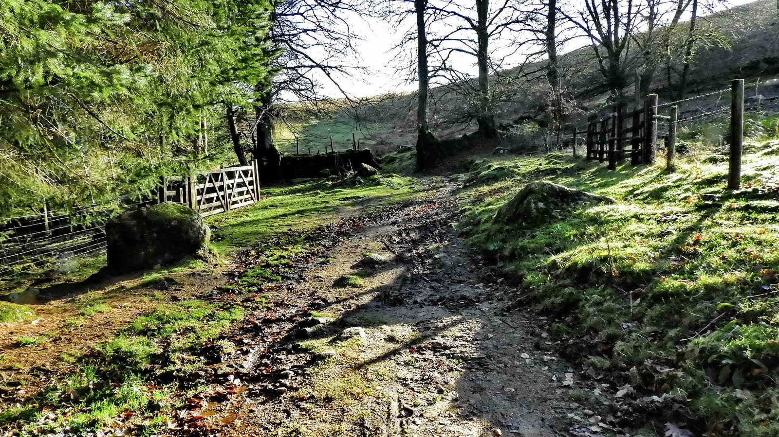 The old track up to Yellowmead Gate, with the Down beyond
