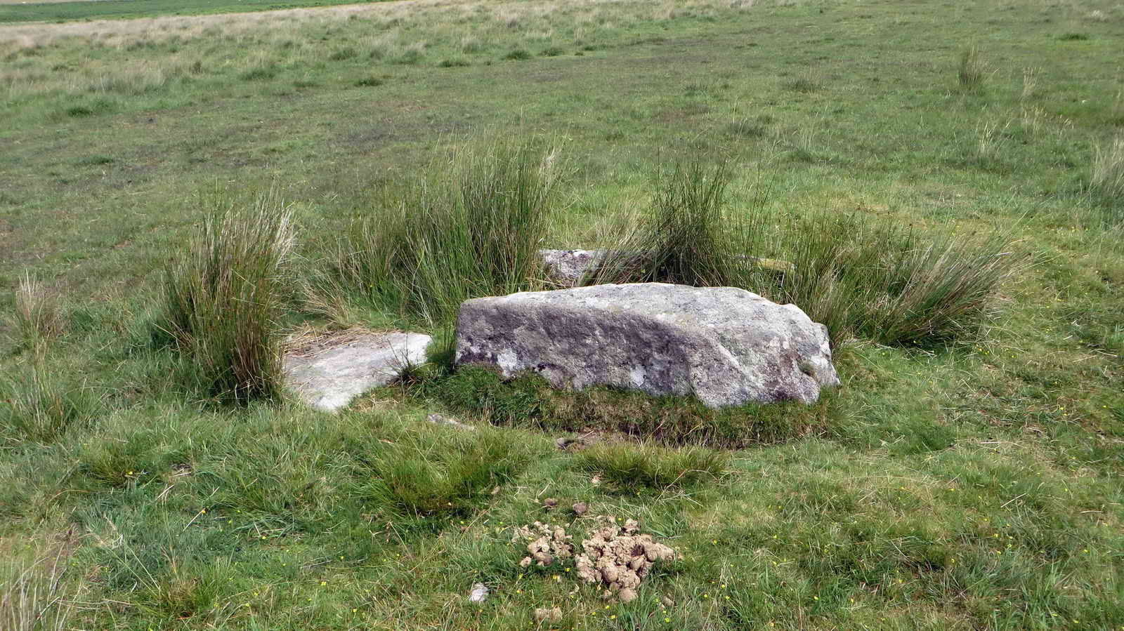 Another view of Cist 22