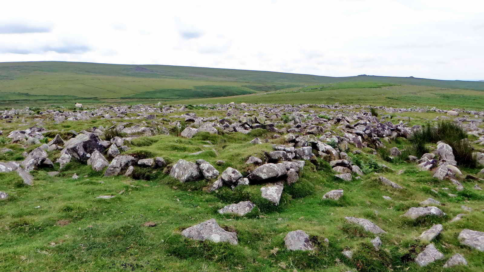 Rearranged stones from the Bronze Age Settlement. SX 58582 67158