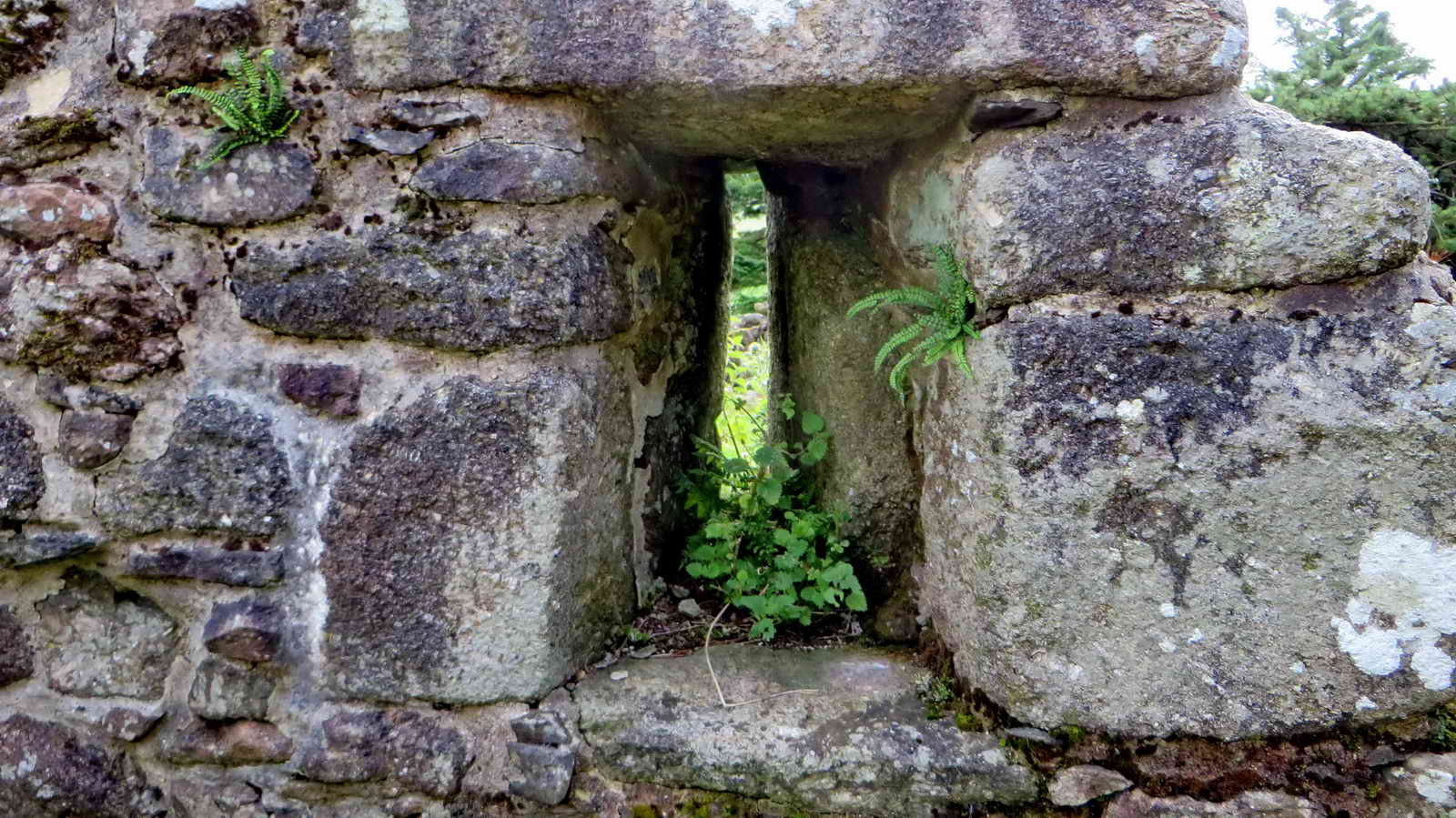 Slit Window