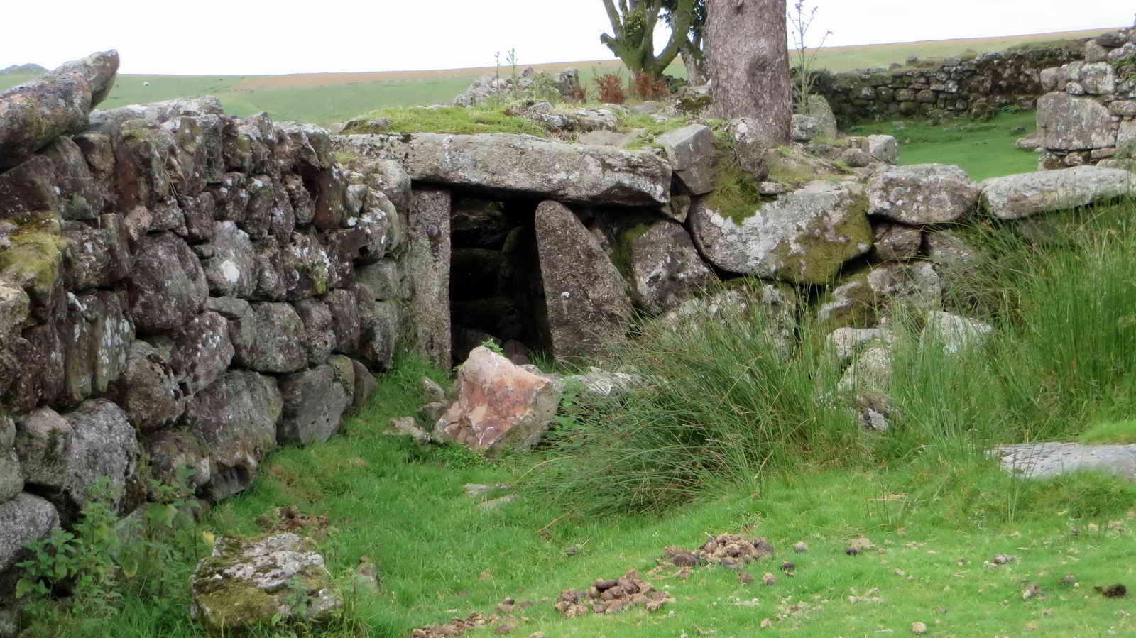 South-West corner kennel
