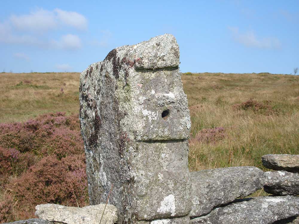 Close-up of a grooved gatepost