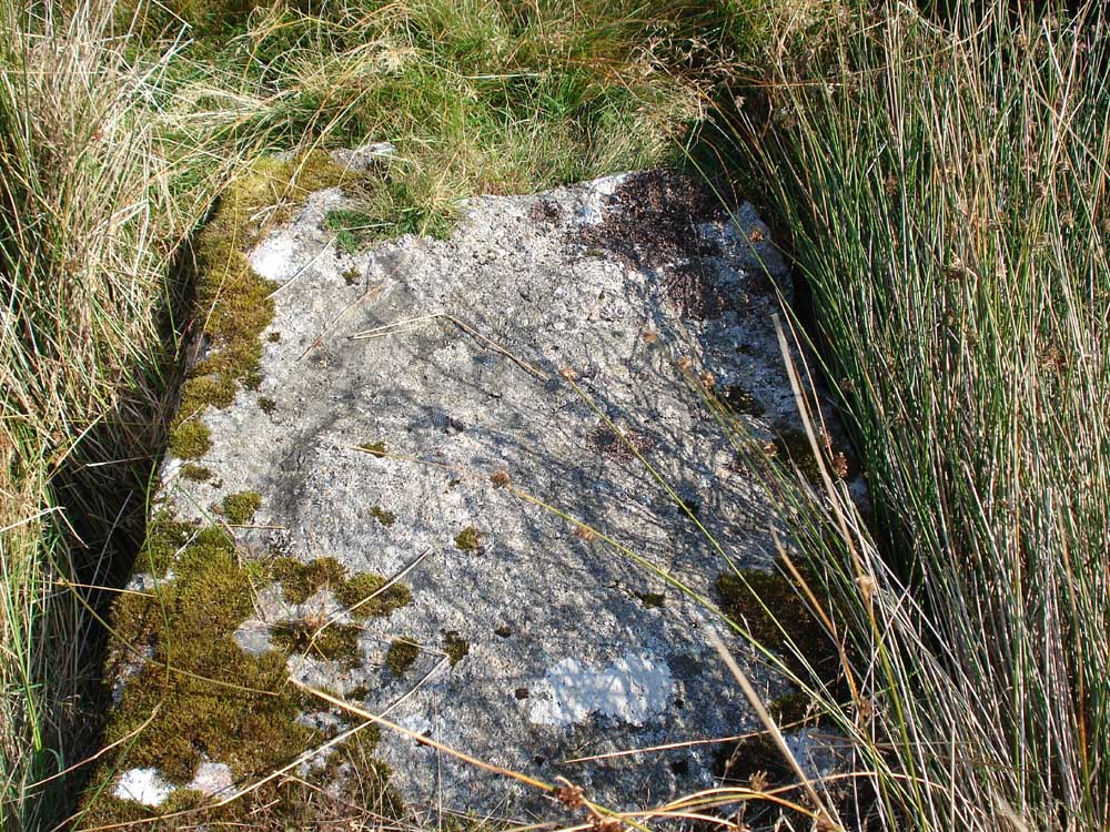 A clapper bridge over the overgrown and drained Brimpts’ Mine Leat