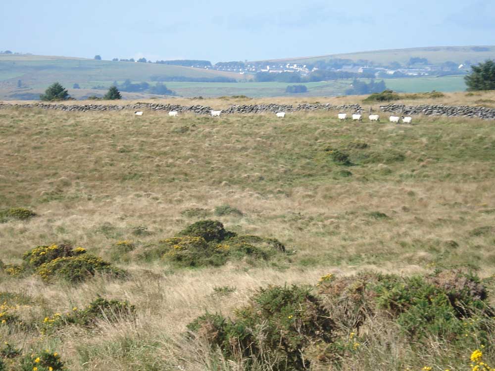 View to Princetown
