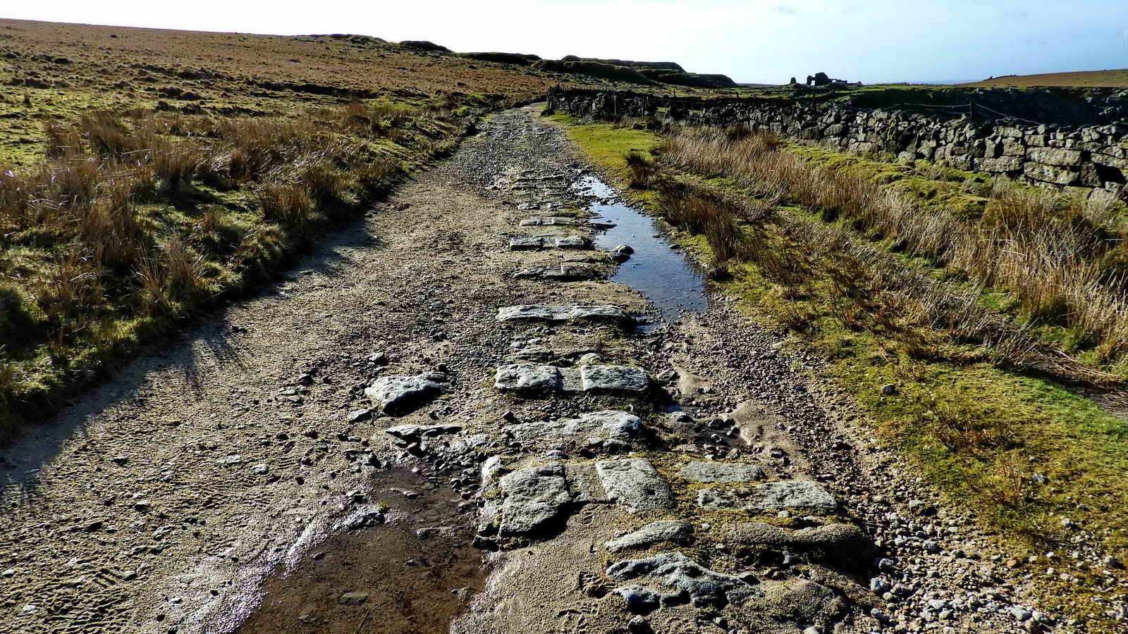 Worn or “worked” tramway setts at SX 56708 73953 showing evidence of the horse-drawn railway