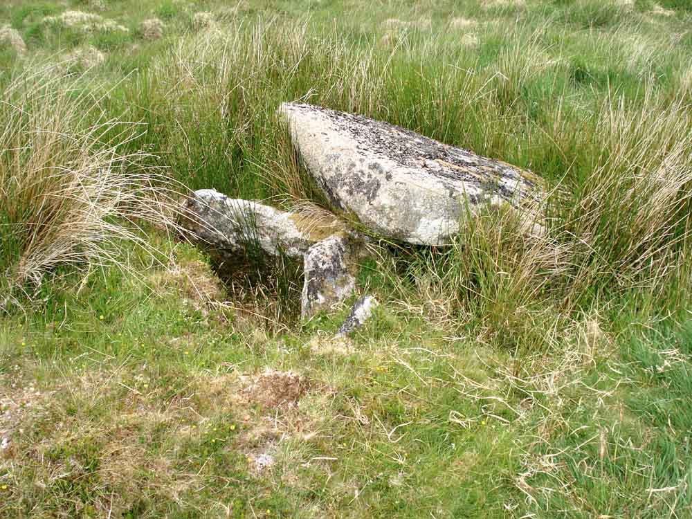 Cist 3, Ter Hill North cist. SX 62857 71168