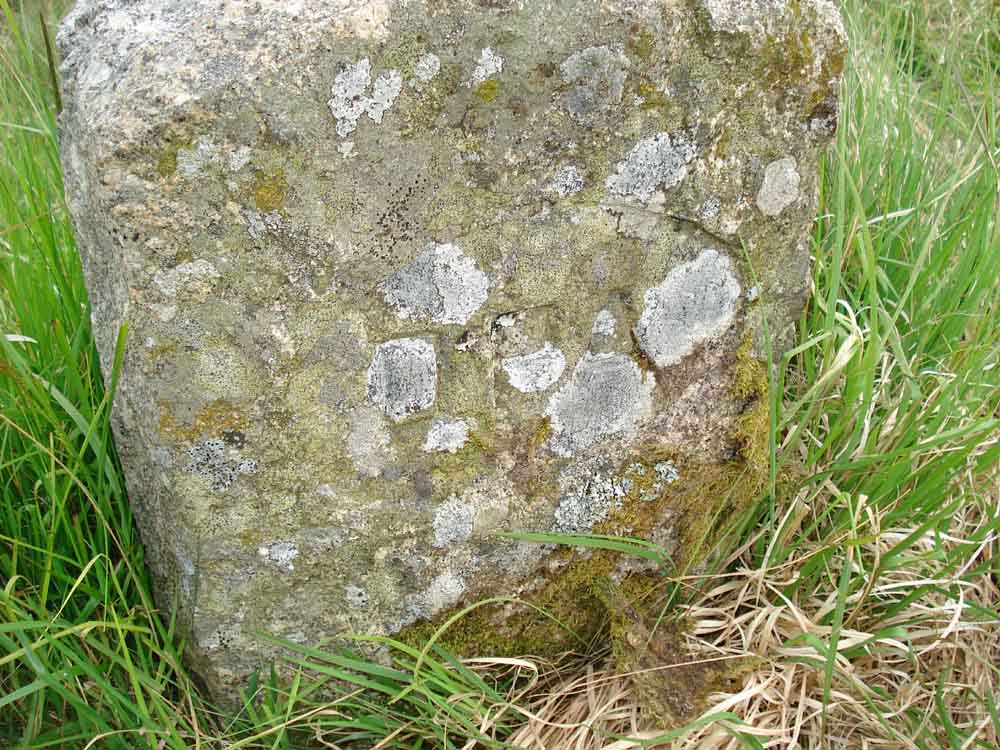 “DPA”, marking a boundary of the Swincombe valley property holding