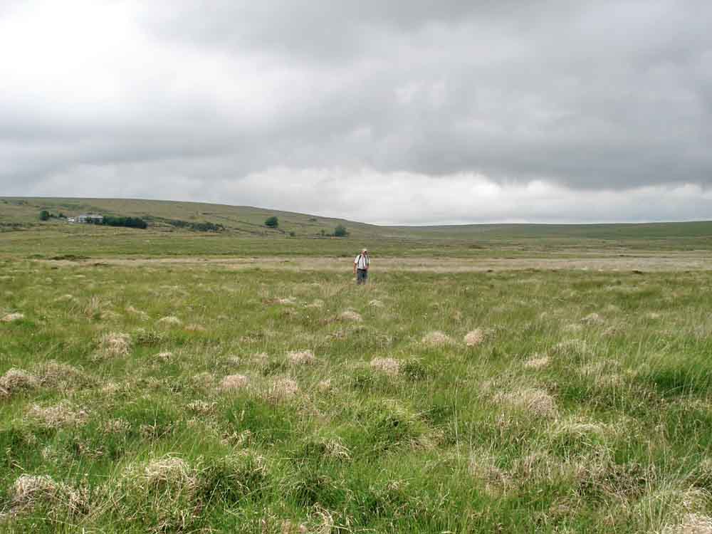 Near the middle of the mire, with the cottages at Whiteworks in the background