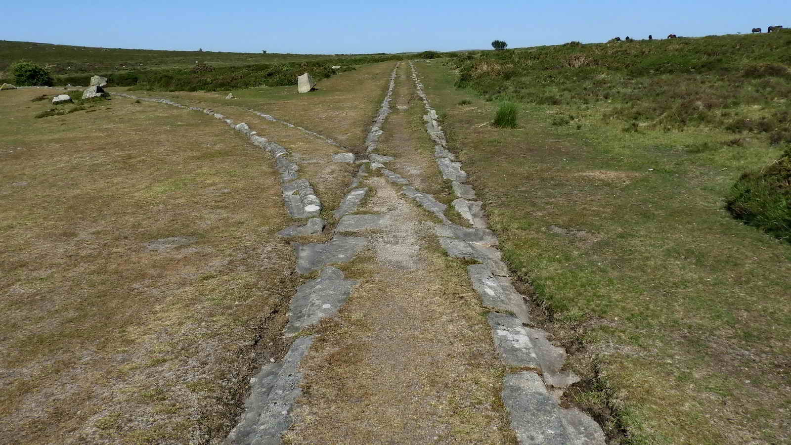 Holwell Junction, SX 76174 77747