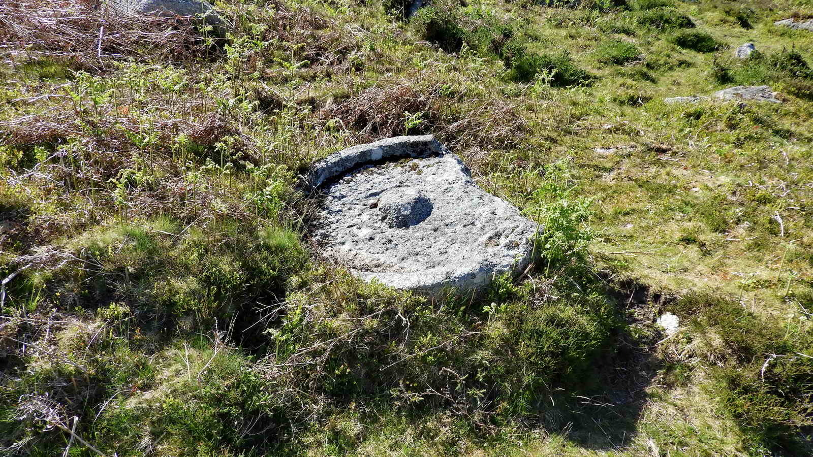 Beside the tramway on the way to Holwell Quarry, SX 75514 77725