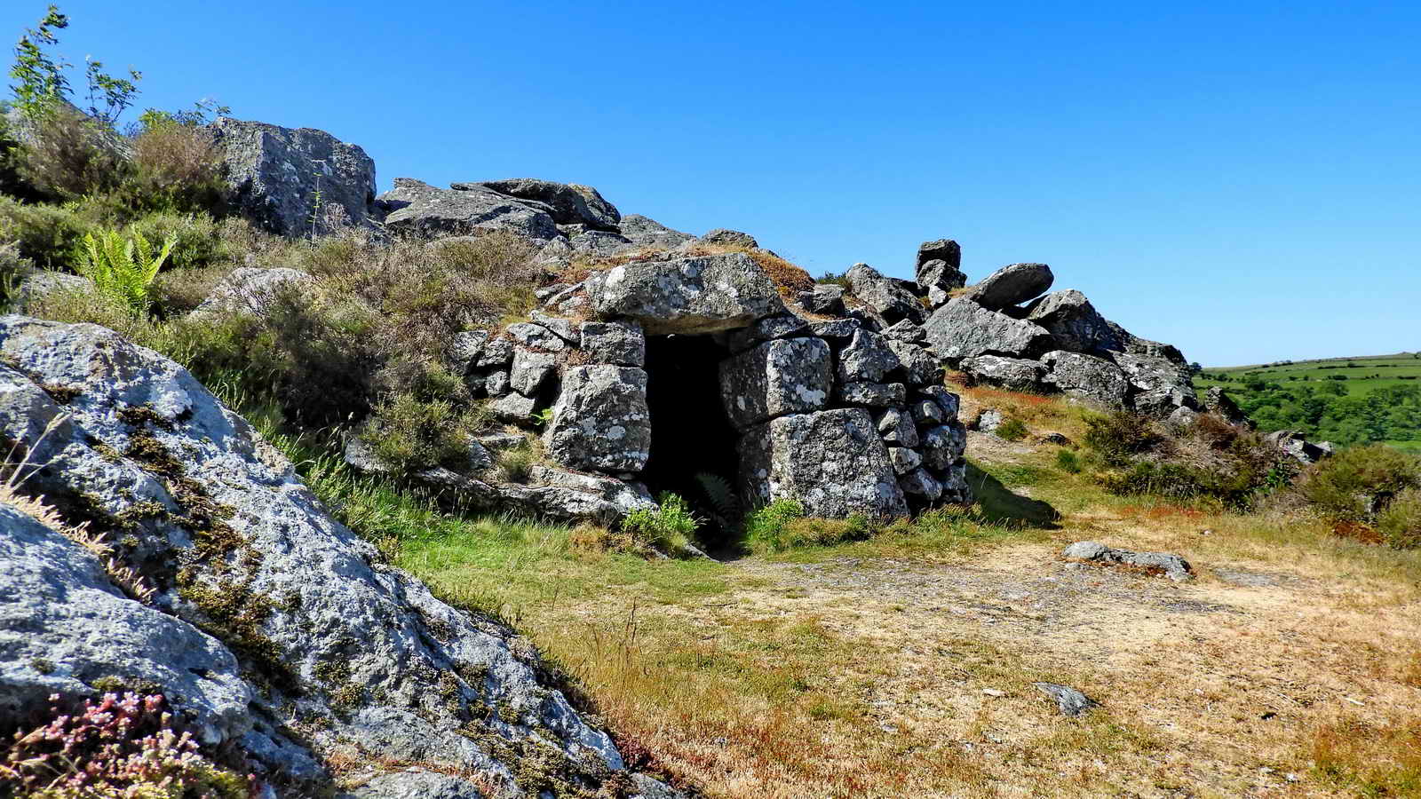 Quarryman’s hut below Holwell Quarry, SX 75073 77784