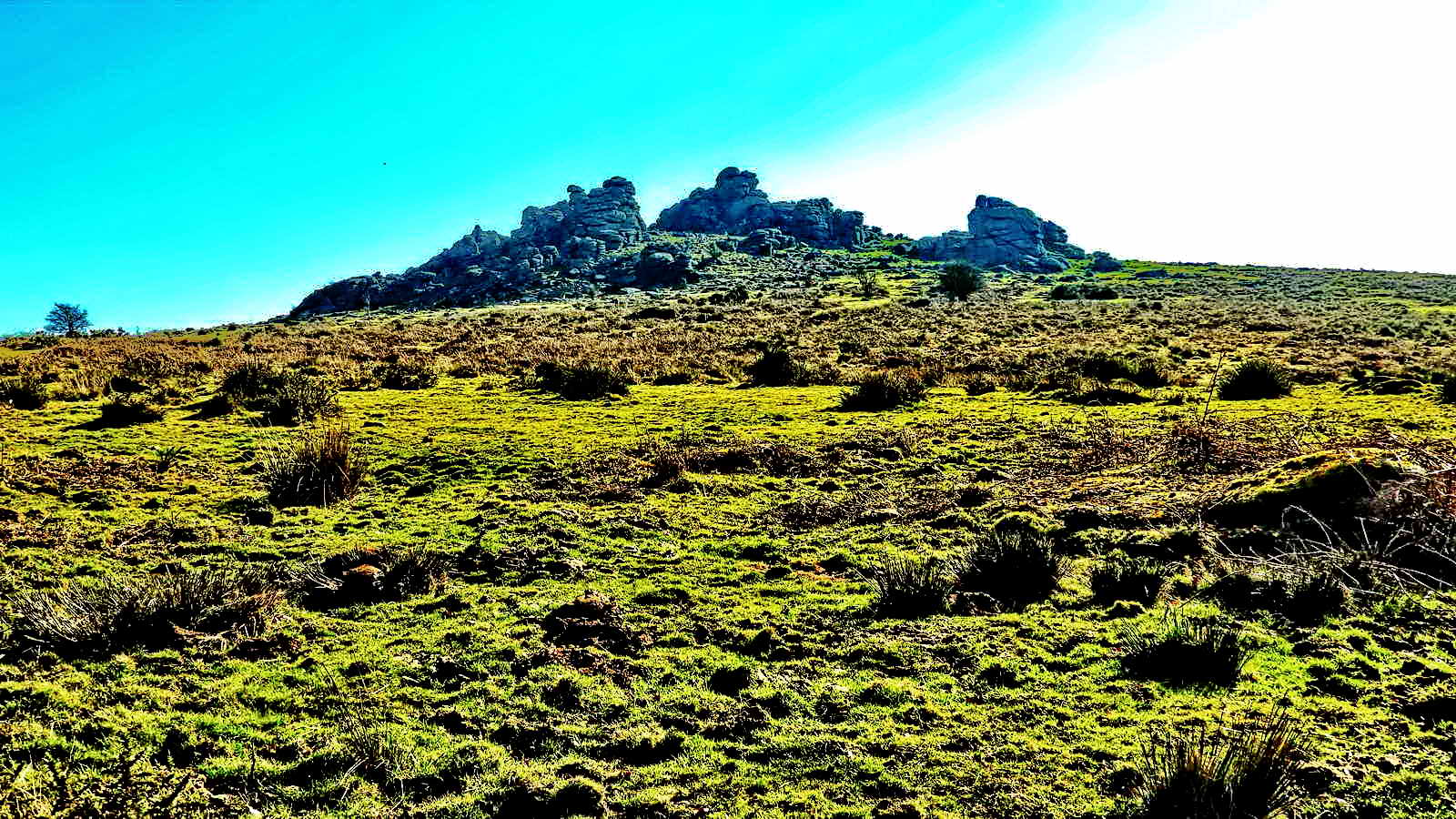 Hound Tor or Great Hound Tor, at SX 742 789, elevation 414 metres (1358 feet), across the road from Swallerton Gate car park, as opposed to Hound Tor or Houndetor at SX 6288 8903, elevation 495 metres (1624 feet) on the north moor, north-east of Knack Mine and Steeperton Tor