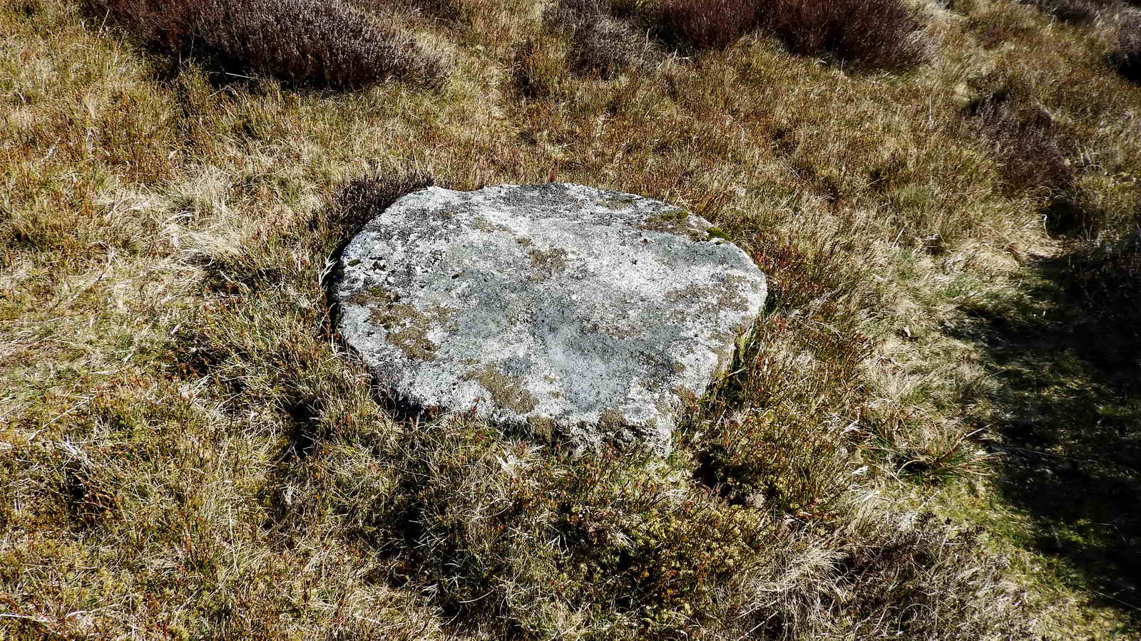 The millstone near the centre of the King’s Oven pound. SX 67472 81297
