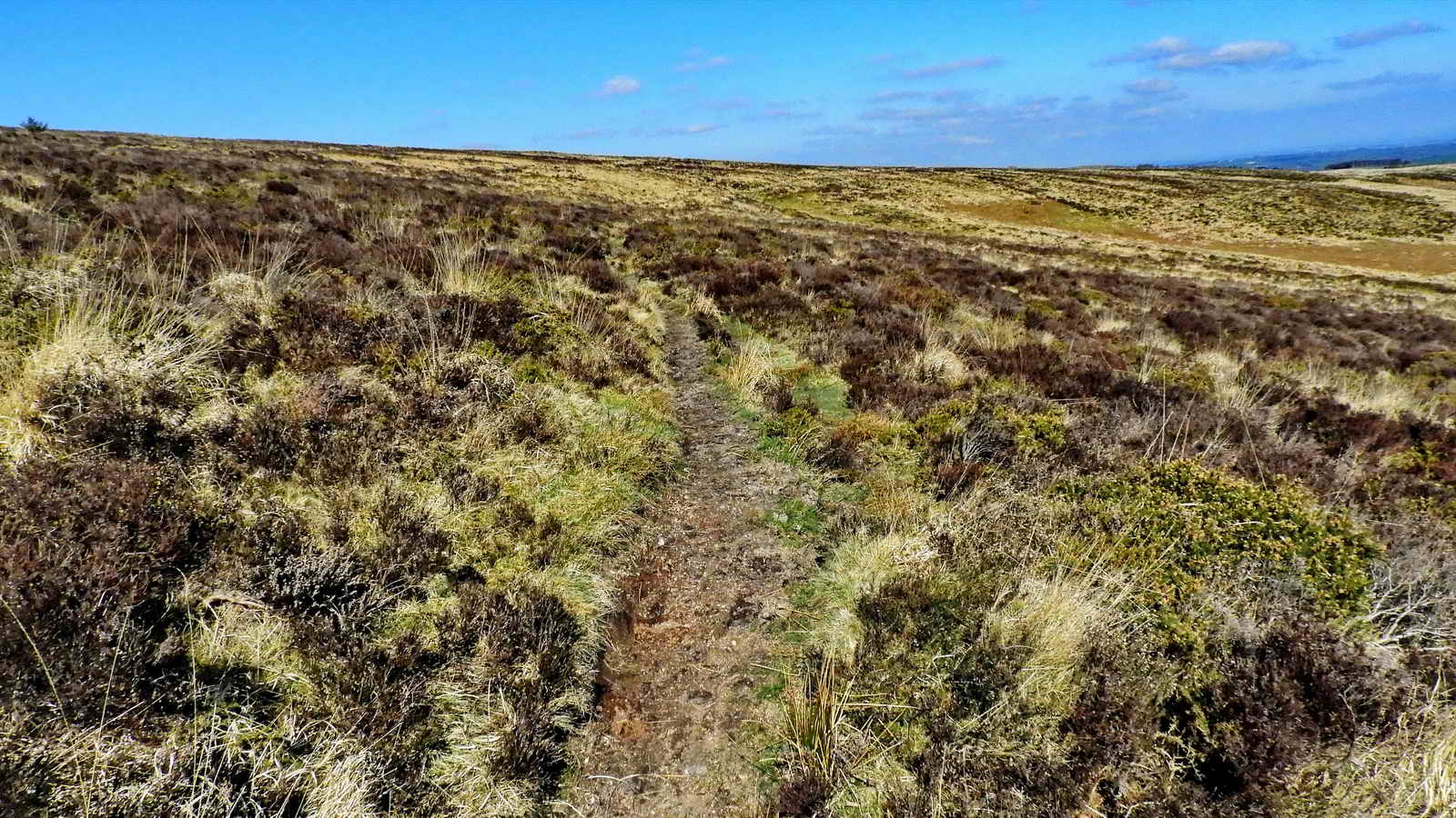 Follow the path to the Northwest