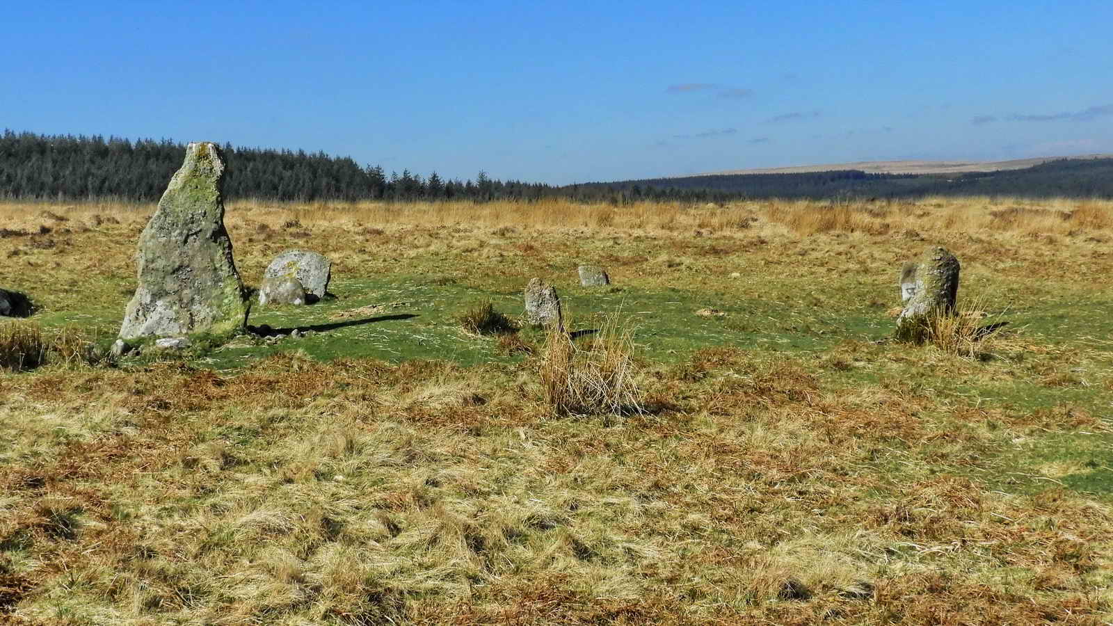 The “Menhir” at the south-western, uphill end of the rows. SX 67307 82296