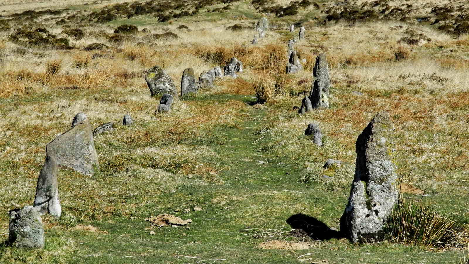 Looking down the rows to the large blocking stone at the North Eastern end