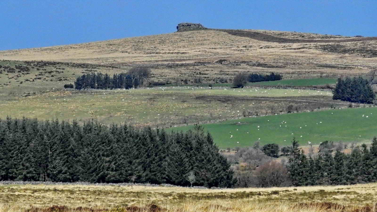 View north to Kes Tor at SX 665 863, elevation 445 metres (1460 feet), 3.8 km (2.4 miles) away