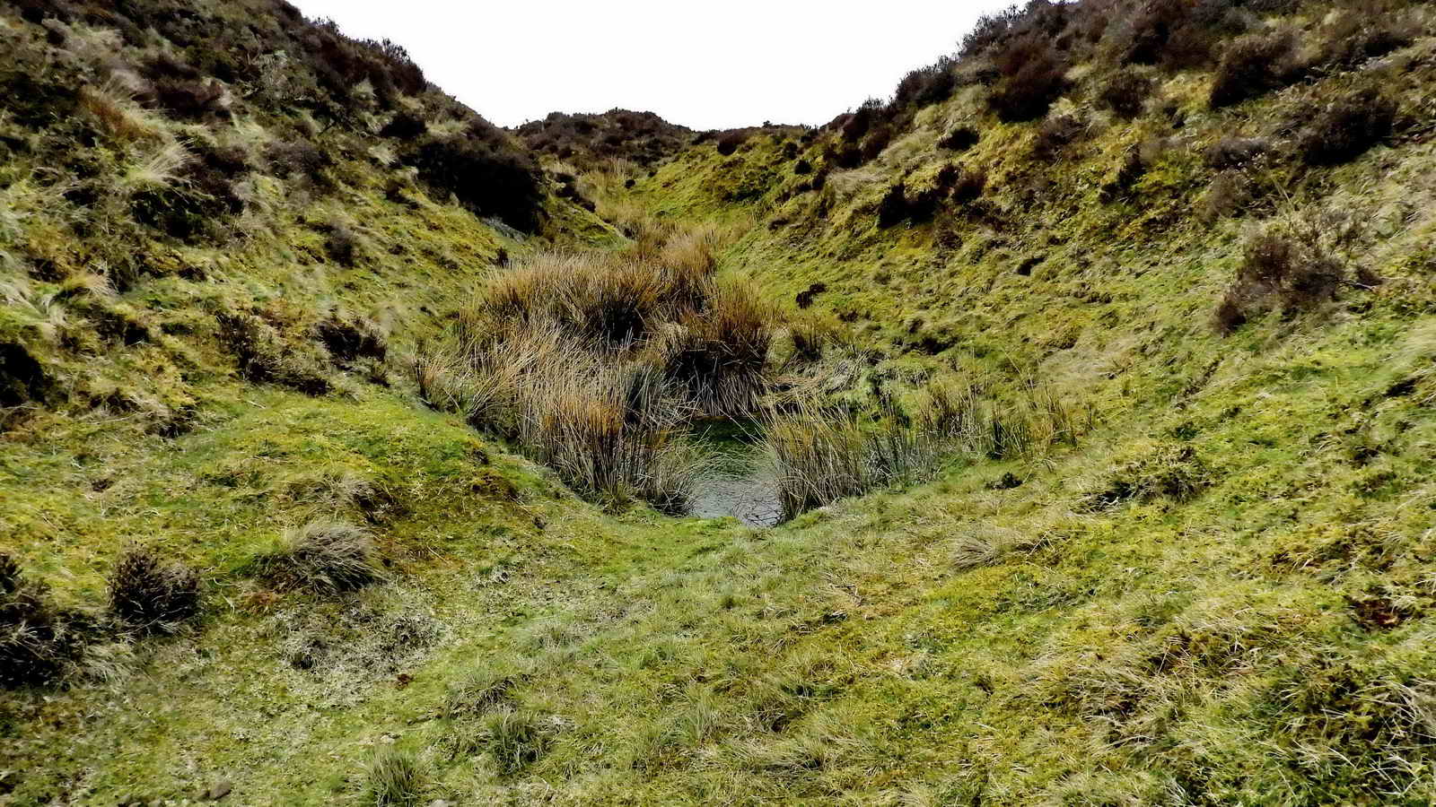 Within sight of the track (and present in the previous photograph) is an apparent shaft is seen in the bottom of the gert