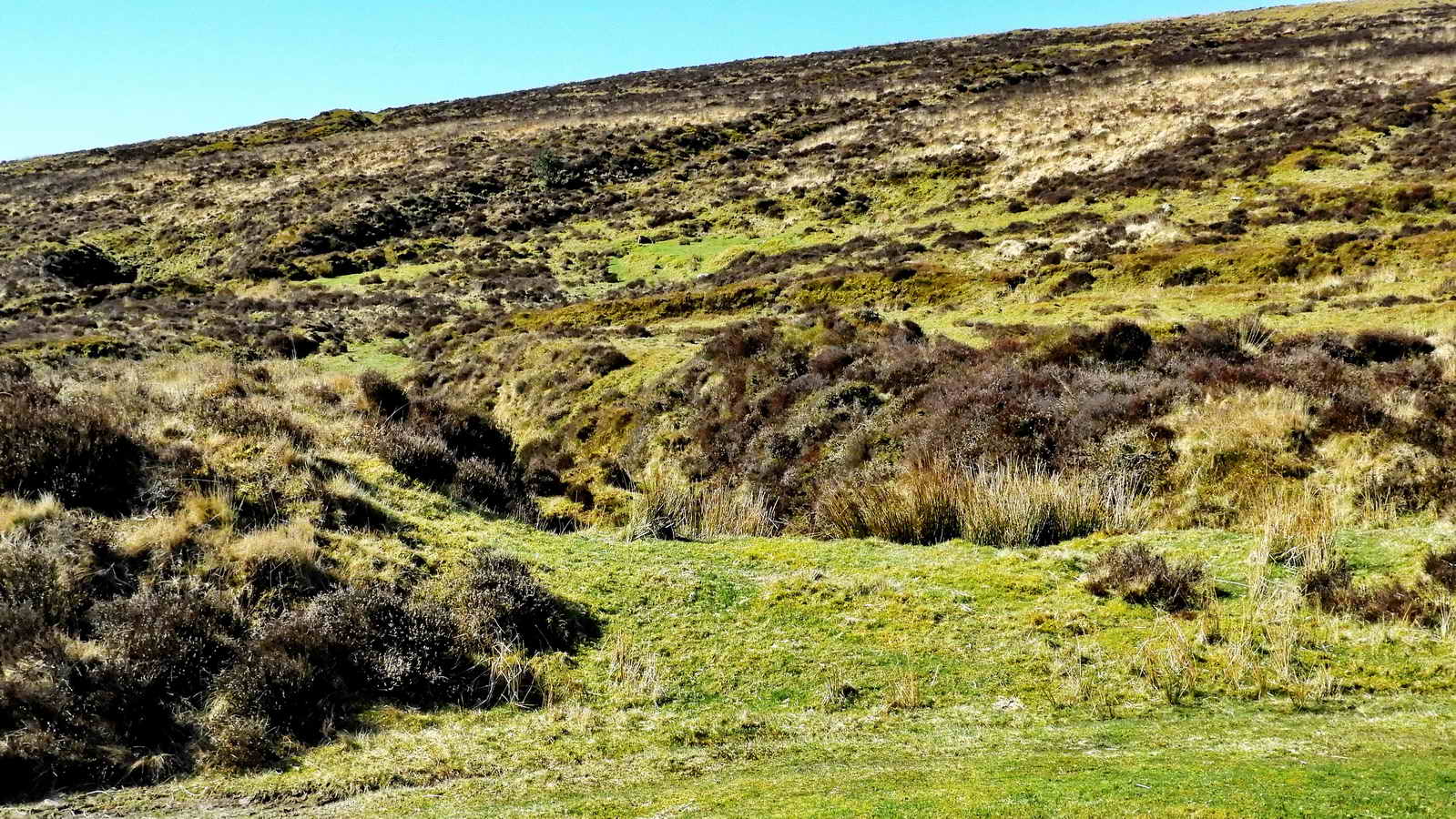 Looking west. Note the bumps on the horizon - spoil heaps from mining