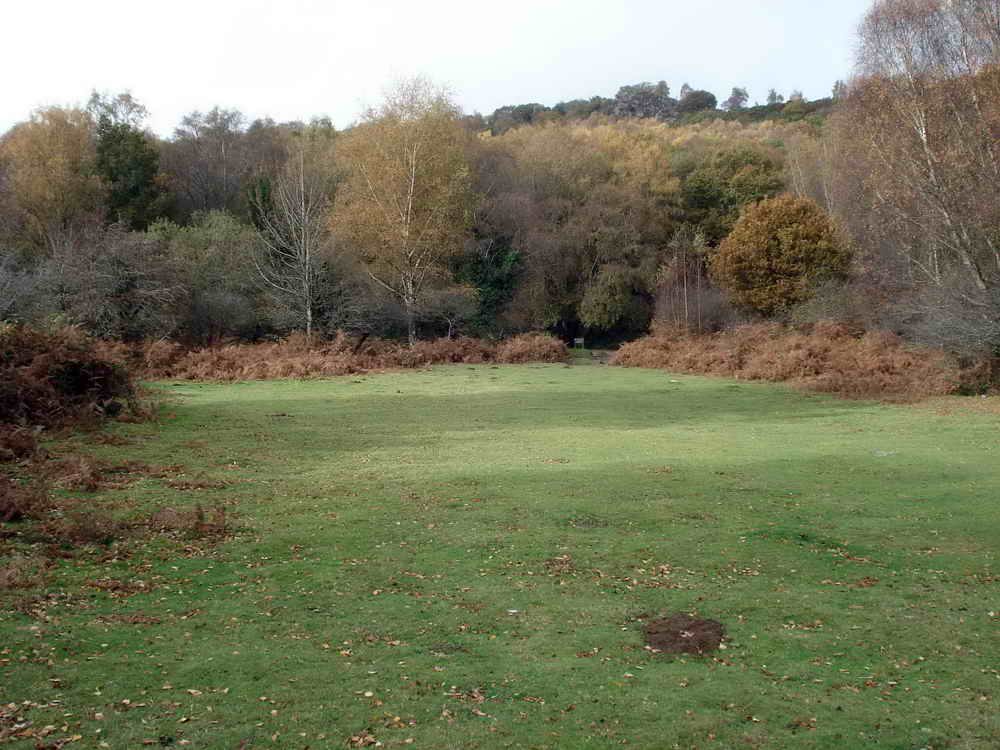 Approaching the Iron Age Pound
