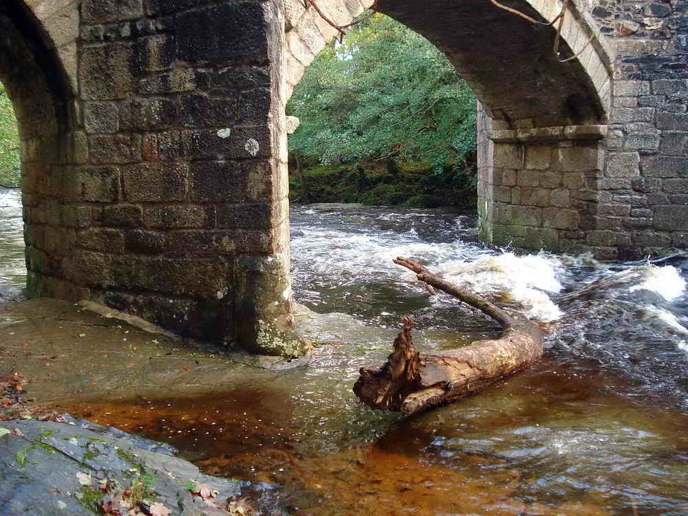 Showing the fine arches and cutwaters