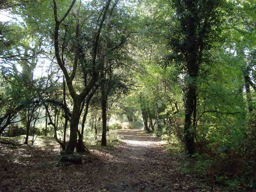 A pleasant and easy bit of walking leads back to the car park