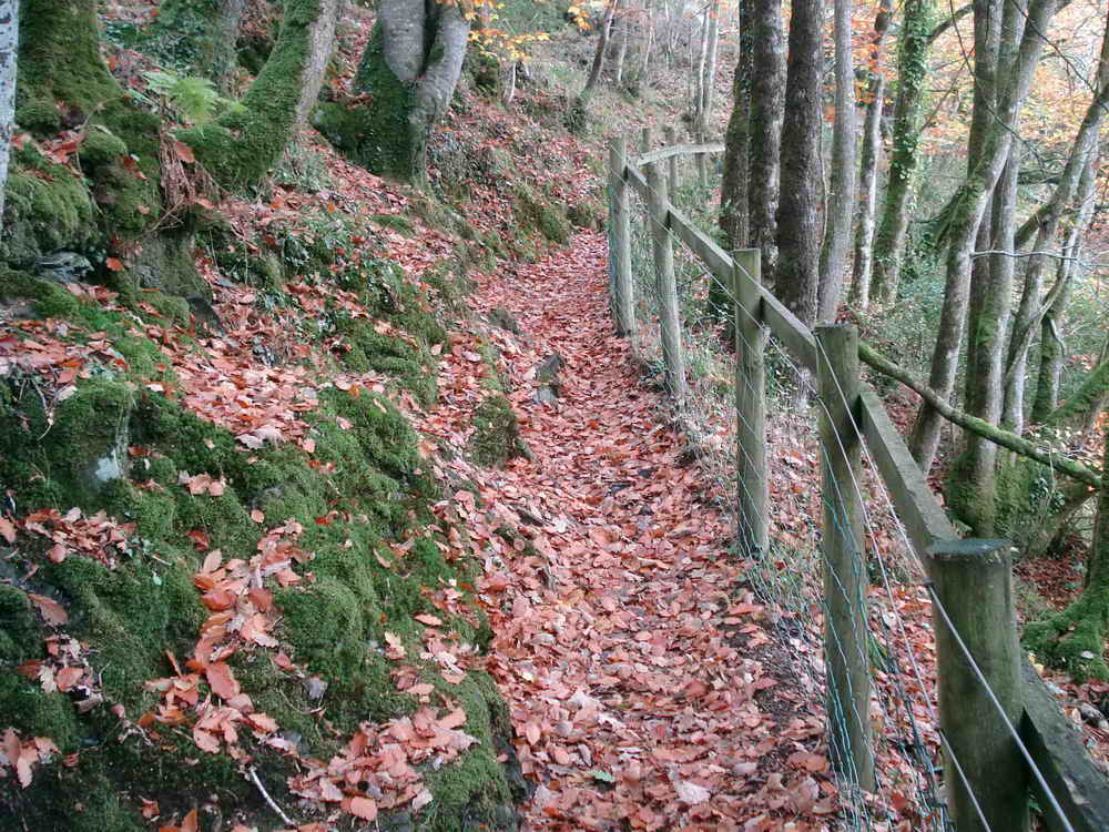 The path climbs up beside the river