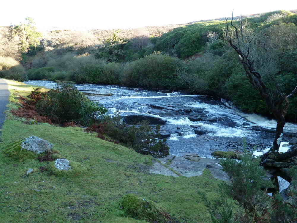 The River Avon