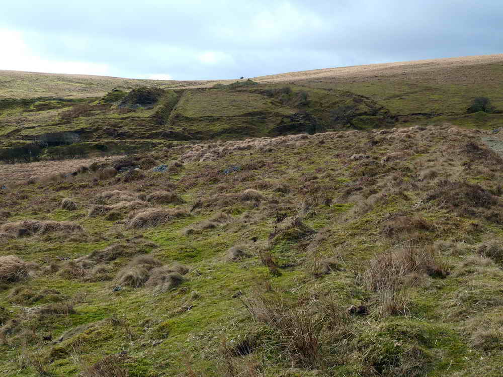 Looking South towards Hooten Wheals