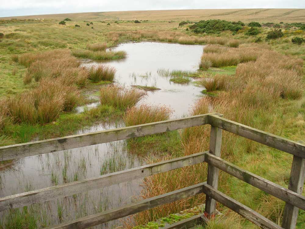 Another view of the extension reservoir