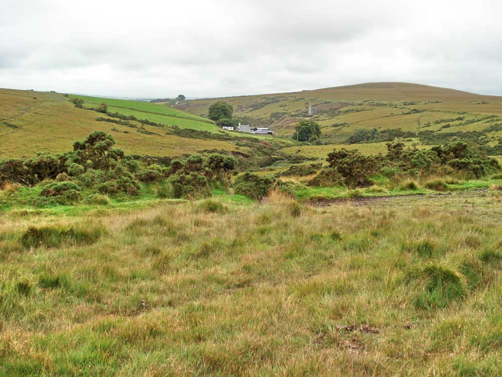 First view of Wheal Betsy, with the A386 Tavistock–Okehampton road above