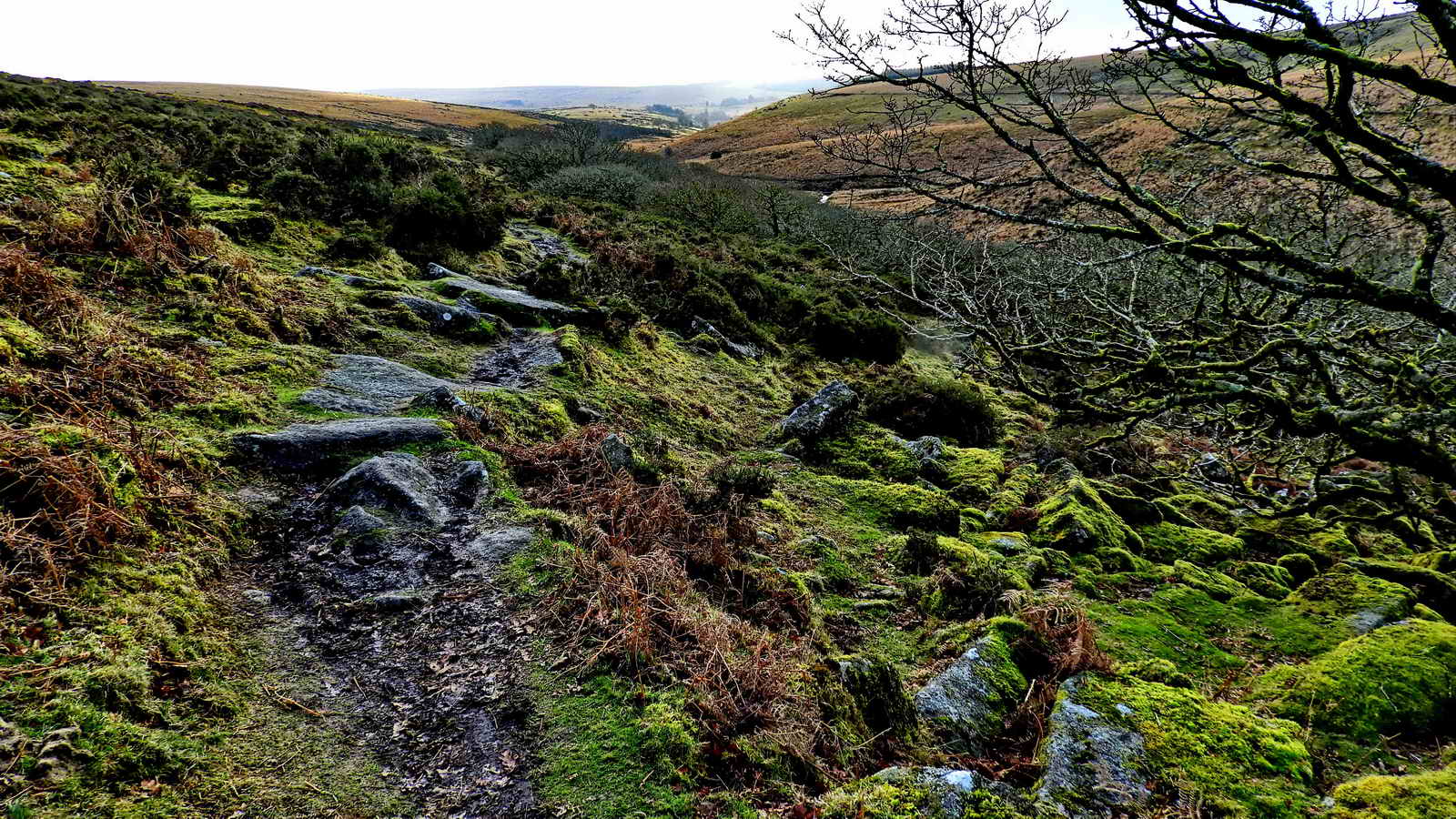 Top path of Wistman’s Wood